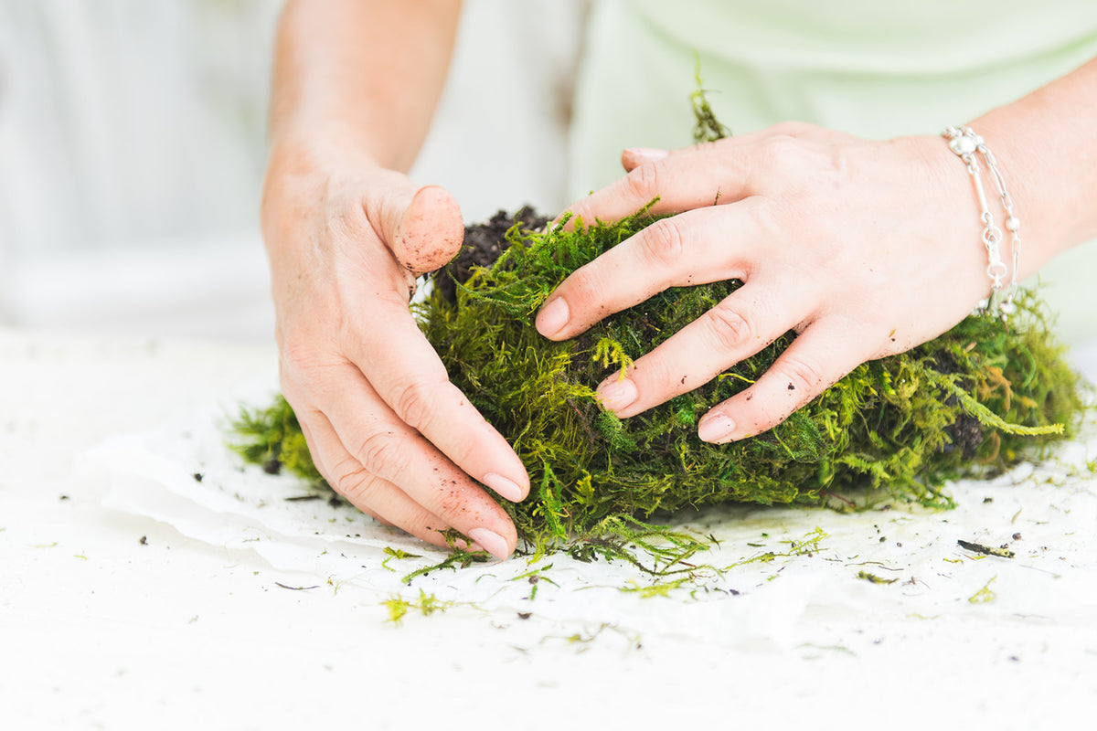 Free Kokedama Demonstration – Group Reservation
