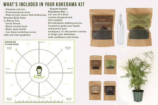 Kokedama Workshop Recorded – (English) - DIY Complete Kit Send To You
