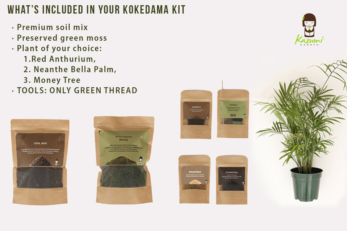 Kokedama Kit Refill – Make Another Moss Ball