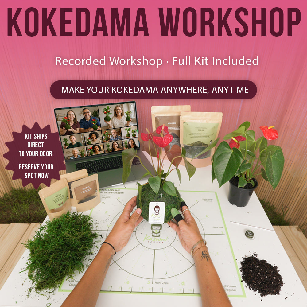 Kokedama Workshop Recorded – (English) - DIY Complete Kit Send To You