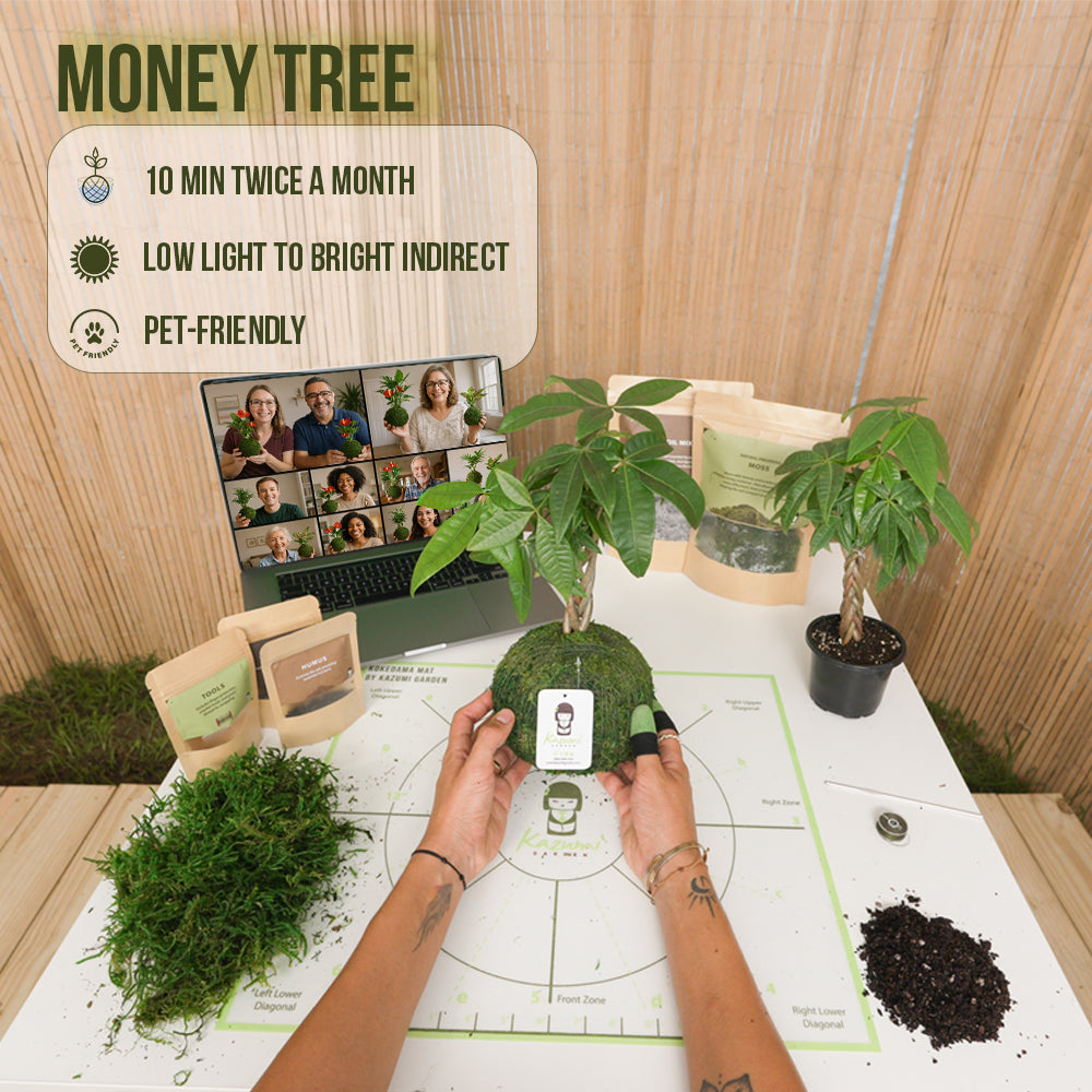 Kokedama Workshop Recorded – (English) - DIY Complete Kit Send To You