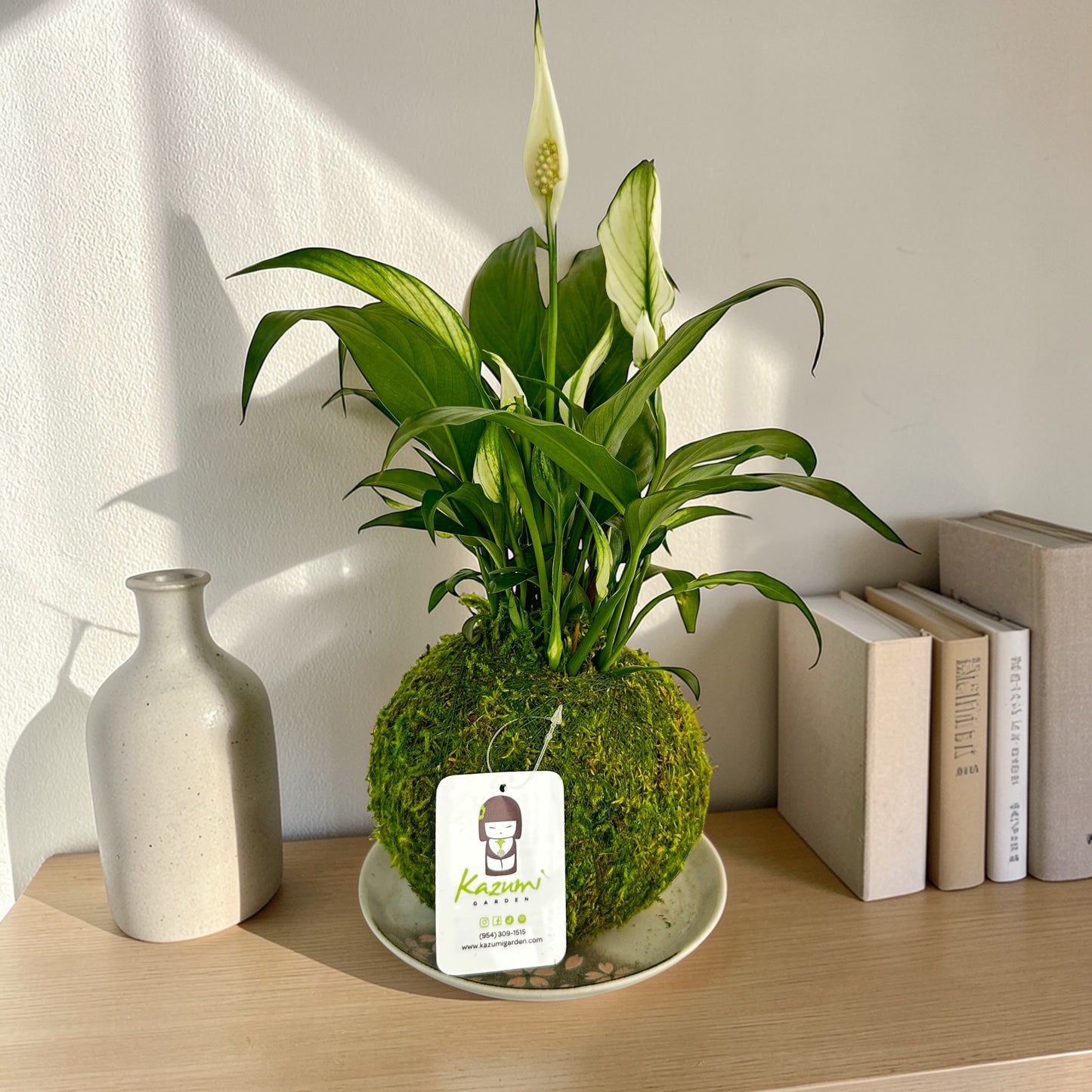 Peace Lily | Moss Ball Kokedama