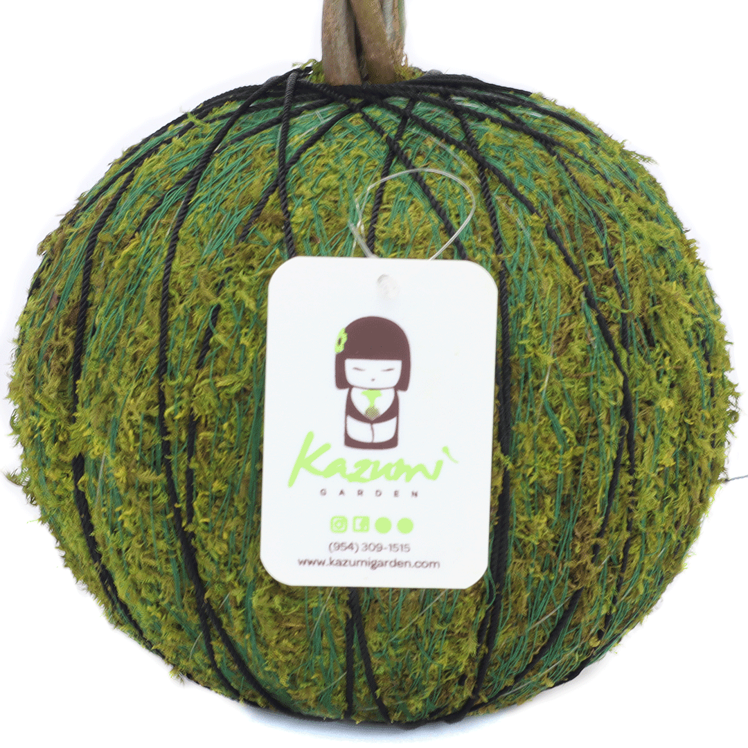 Color Twine | Moss Ball Kokedama Accessory