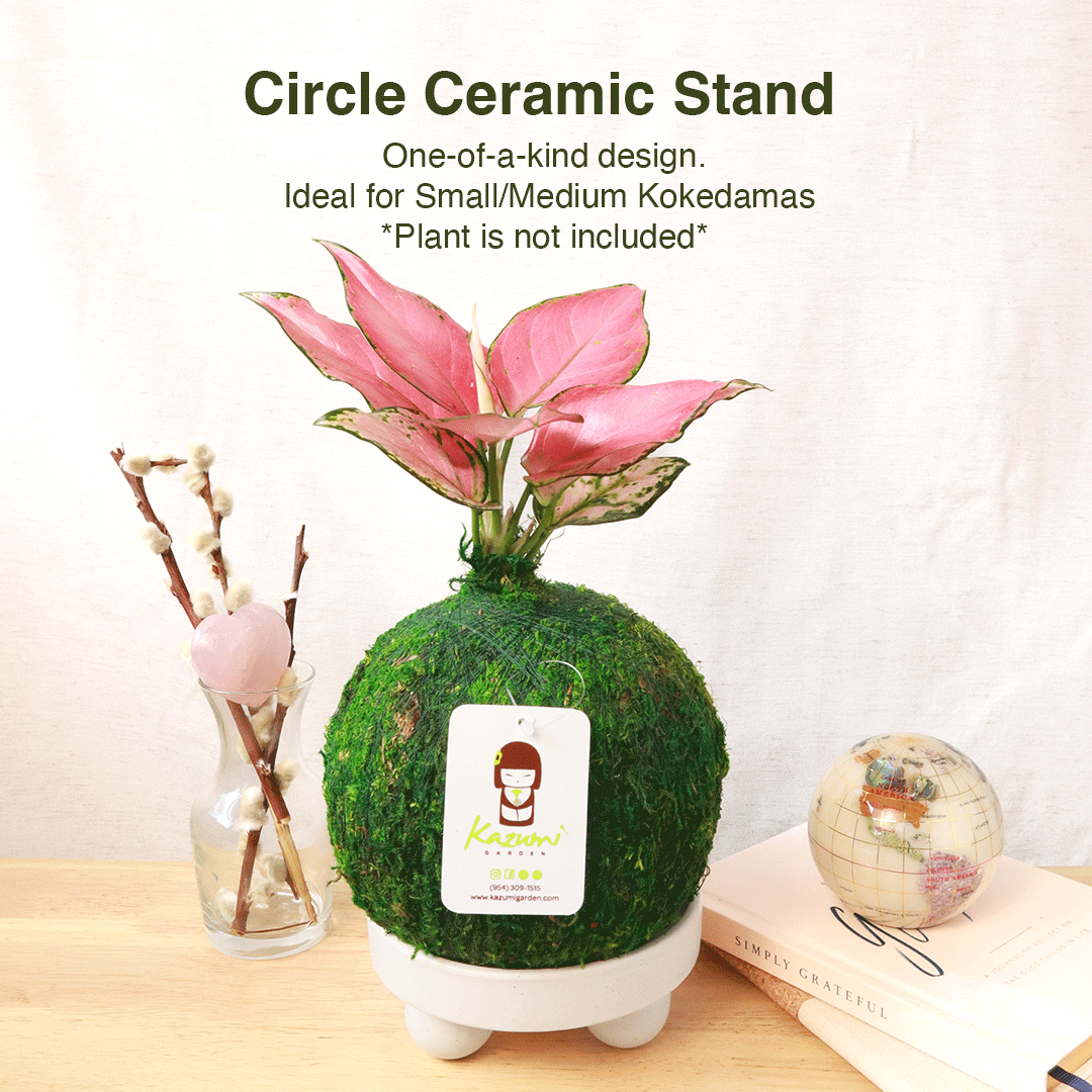 Circle Ceramic Stand | Moss Ball Kokedama Accessory