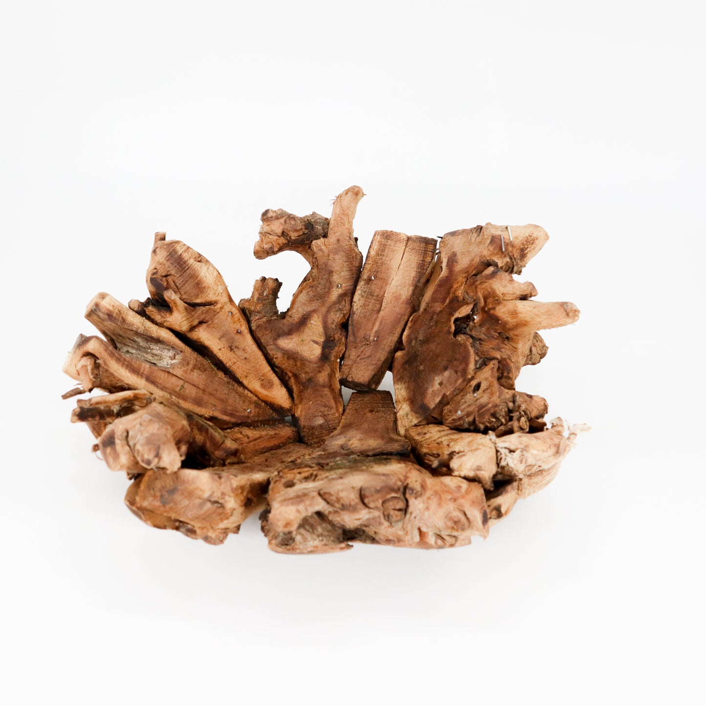 Driftwood Bowl | Moss Ball Kokedamas Base