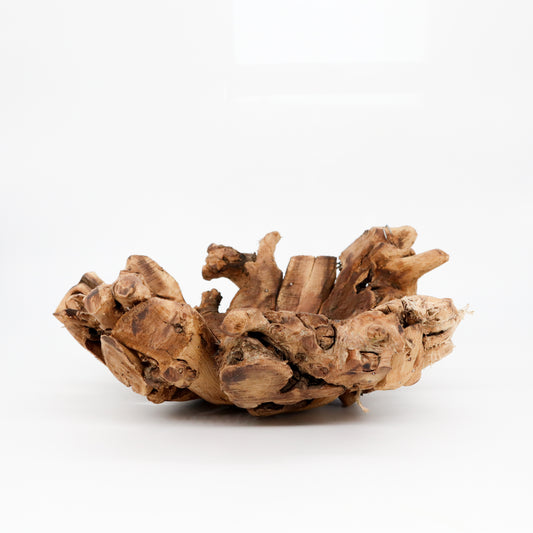 Driftwood Bowl | Moss Ball Kokedamas Base