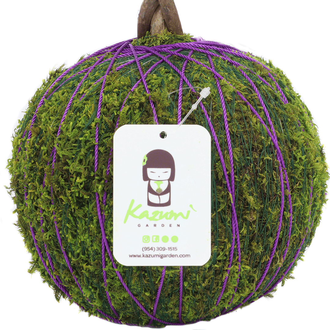 Color Twine | Moss Ball Kokedama Accessory