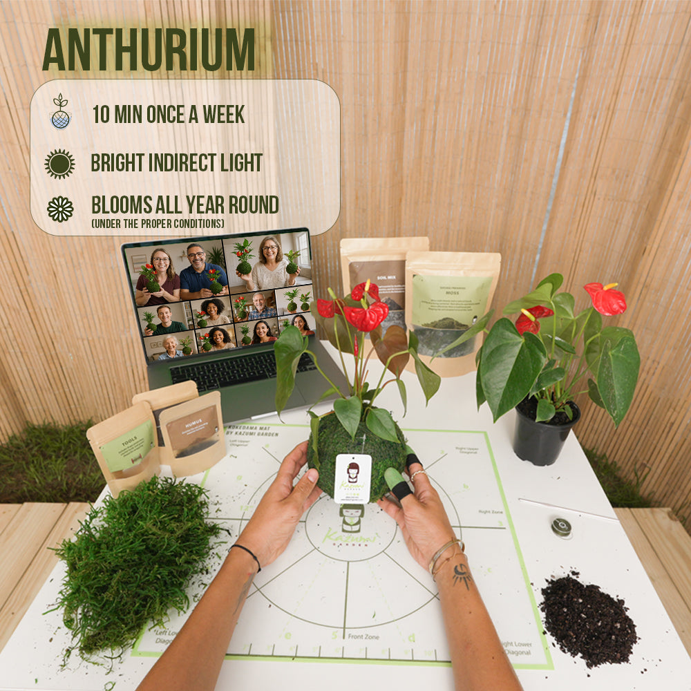 05/17/2025 Live Kokedama Workshop Online – (English)