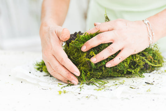 Free Kokedama Demonstration – Group Reservation