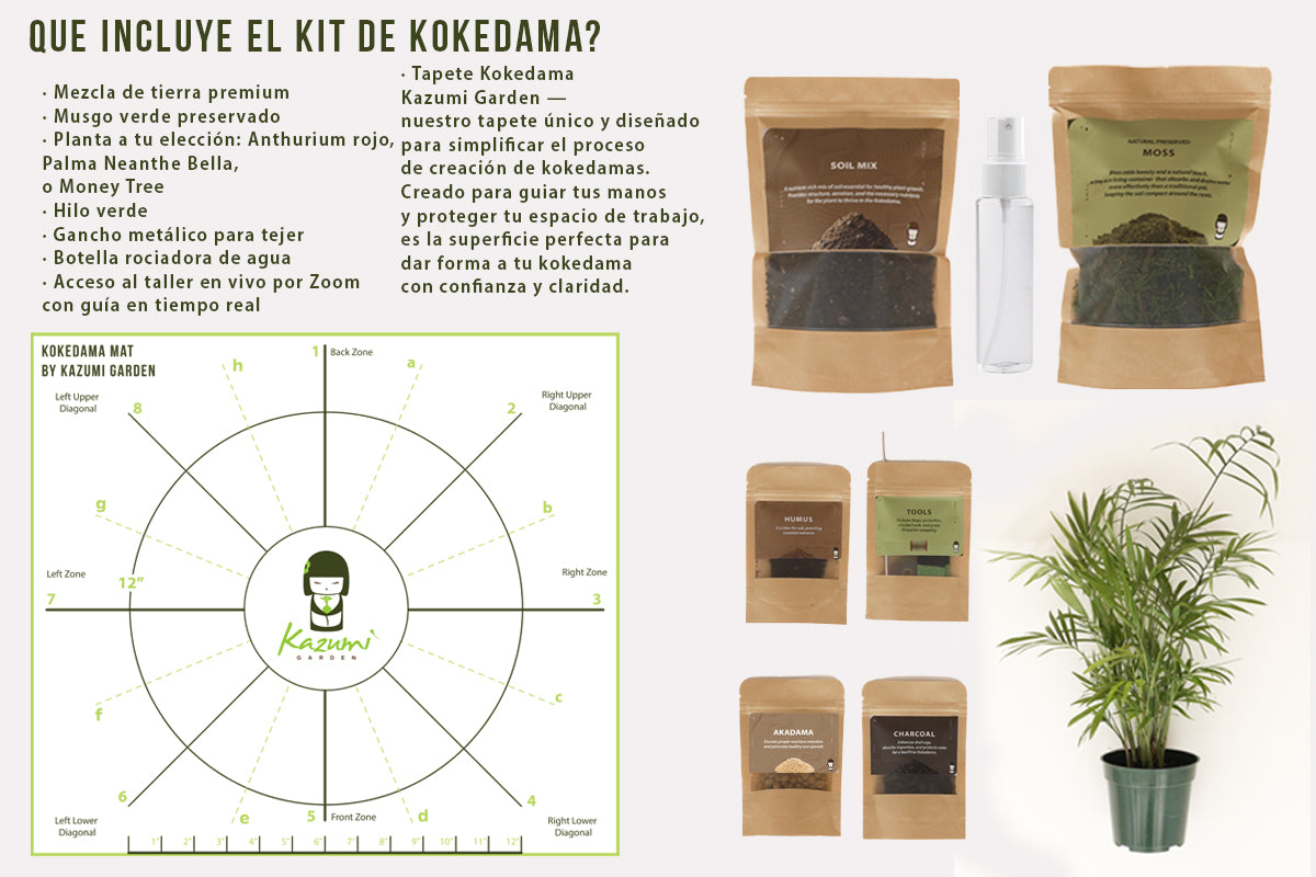 05/25/2025 Taller de Kokedamas Online en Vivo – (Español)