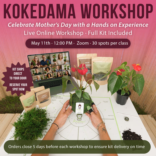 05/11/2025 Live Kokedama Workshop Online - (English)