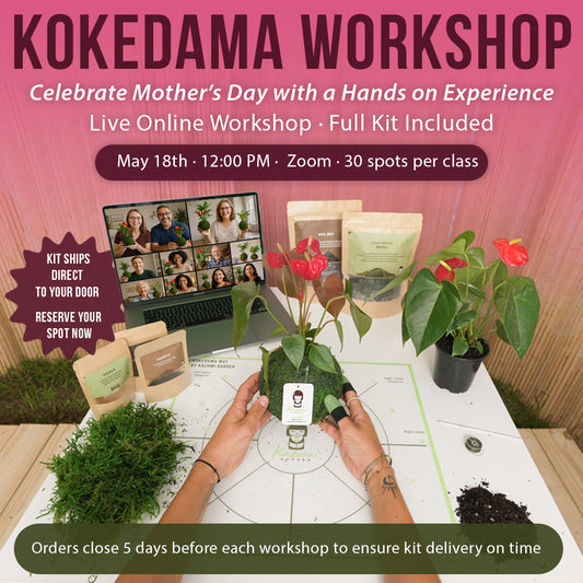 05/18/2025 Live Kokedama Workshop Online – (English)