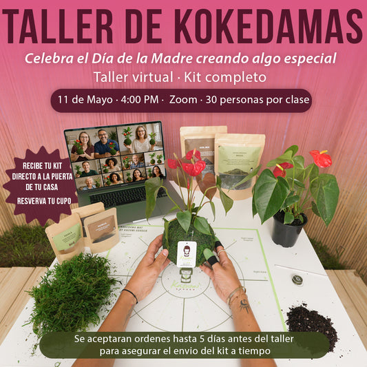 05/11/2025 Taller de Kokedamas Online en Vivo – (Español)