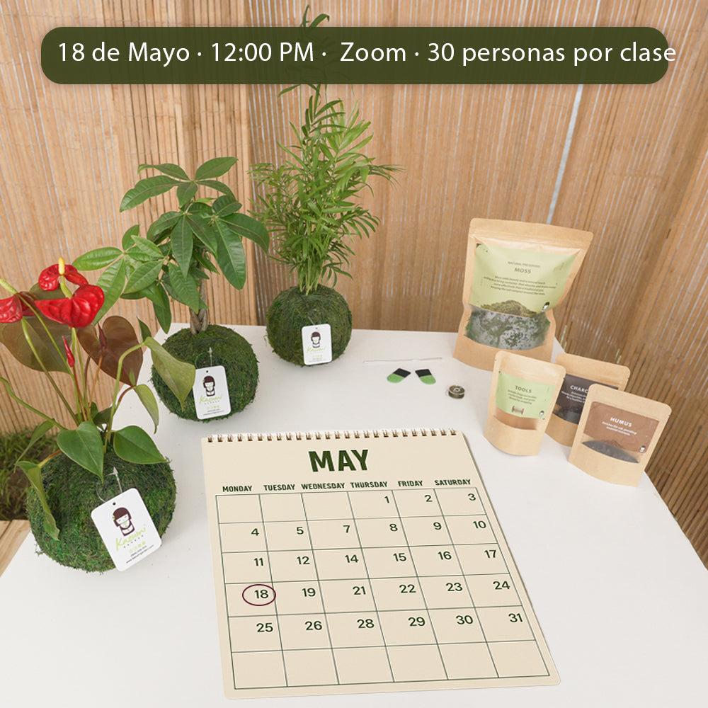 05/18/2025 Taller de Kokedamas Online en Vivo – (Español)