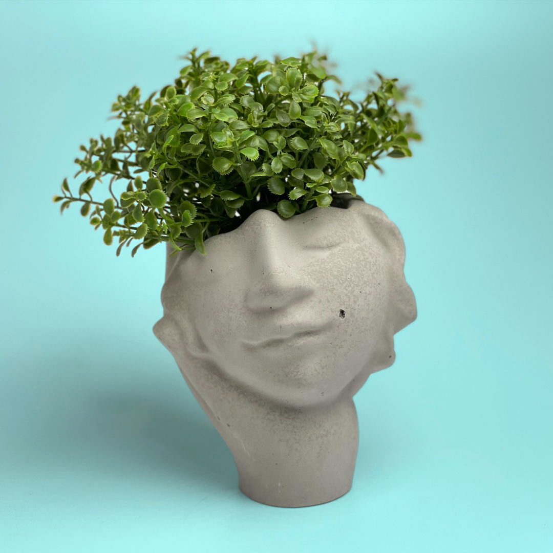 face succulent planter Face Succulent Planter on Hand – Kazumi Garden