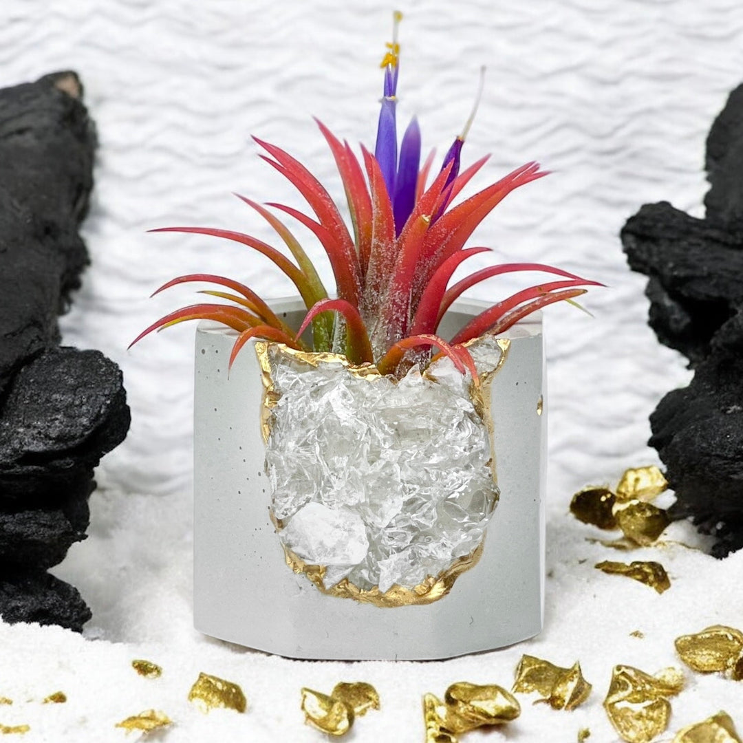 geode air plant Clear Quartz Geode Planter