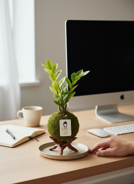 ZZ Chameleon | Moss Ball Kokedama