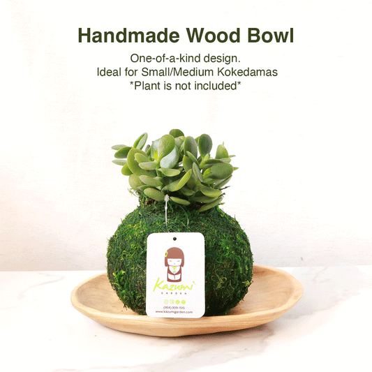 Handmade Wood Bowl | Moss Ball Kokedama Accessory